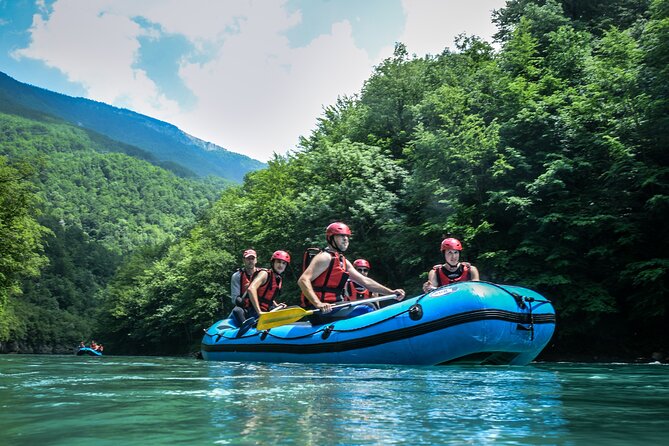 4 Hours Tara Rafting Trip - From Divlja Rijeka to Brštanovica: How the Day Actually Moves