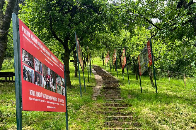 BOSNIAN PYRAMIDS TOUR (nature, history & archeology) - Ravne tunnels timing, tunnel ticket cost, and the meditation option
