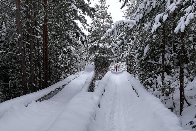 Cable Car Olympic Tour With Museum - The heart of the tour: Trebević and the Olympic bobsleigh and luge track