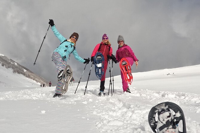 Experience Snowshoeing in Olympic Mountain Bjelašnica - Key highlights you will actually feel