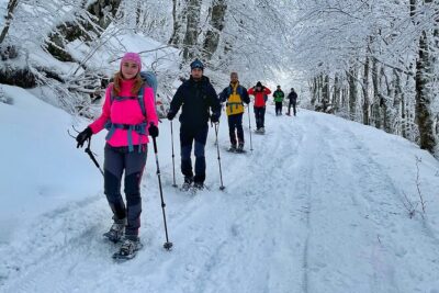 Experience Snowshoeing in Olympic Mountain Bjelašnica