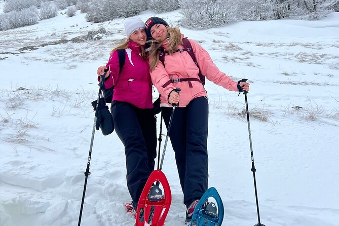 Experience Snowshoeing in Olympic Mountain Bjelašnica - Stop at Bjelasnica: views, river canyon, and winter stories