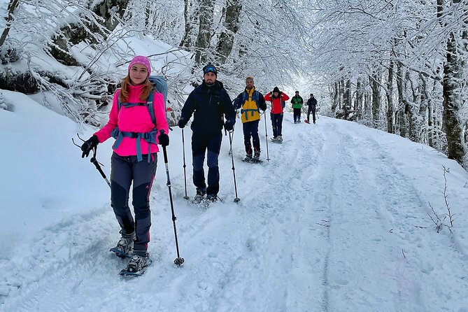 Experience Snowshoeing in Olympic Mountain Bjelašnica - The snowshoe start at Babin: where the walk begins