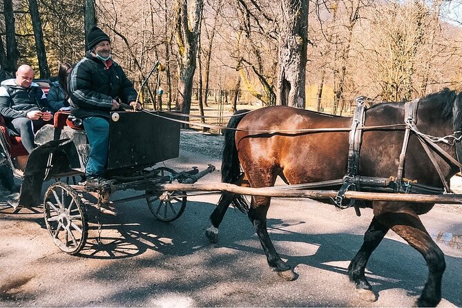 From Sarajevo: Bijambare Cave and Spring of River Bosna Tour - Vrelo Bosne: The Spring of the Bosna River and a Park Worth Strolling