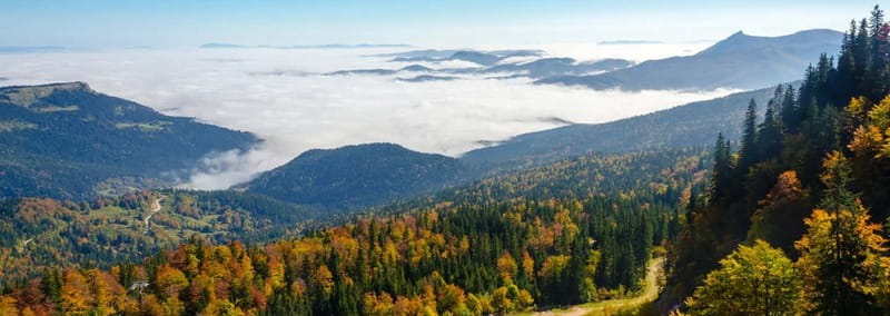 From Sarajevo: Olympic Mountains Private Trip - Why the Private Guide Matters (From Adnan, Vedo, and Alan to Office Help)