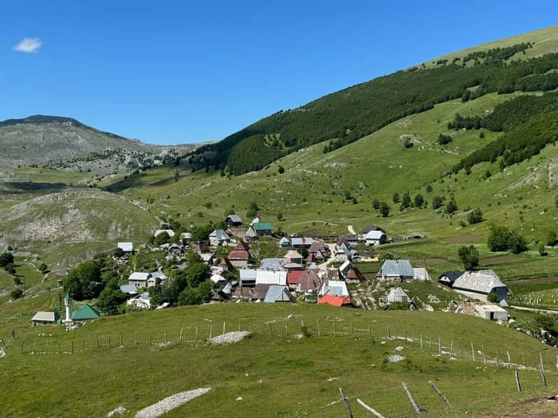 From Sarajevo: Private Lukomir Village 4x4 Safari - Seeing Animals on the Route: Sheep, Dogs, Horses, and How to Handle It