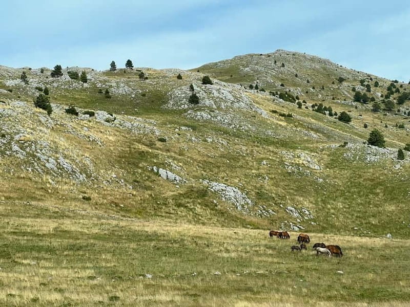 Hiking around Sarajevo: Lukomir Village Full Day Hiking Tour - Key highlights you will actually feel on the day