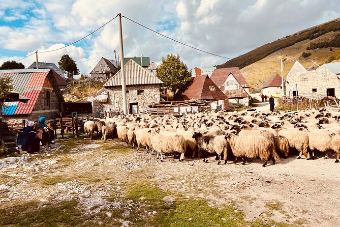 LUKOMIR VILLAGE HIKE & TREK TOUR (nature, hike, food & panorama) - The trek to Lukomir via Studeni Potok, the main effort