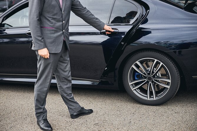 One-way Private Airport Transfer to Sarajevo - Meet and Greet at Butmir Airport, Name Sign and Luggage Help