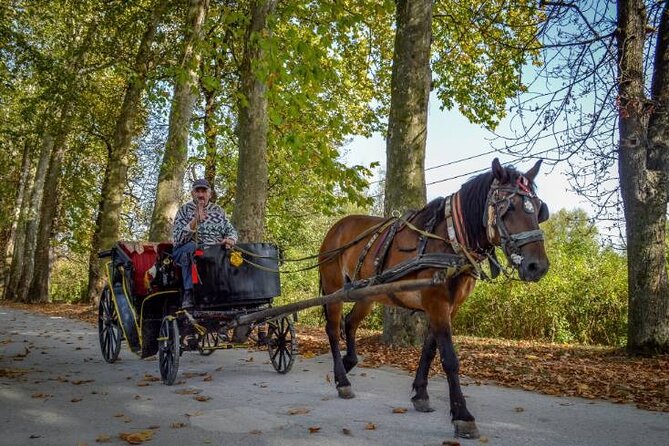 Private Carriage Ride in Vrelo Bosne Nature Park - Key things I’d pay attention to