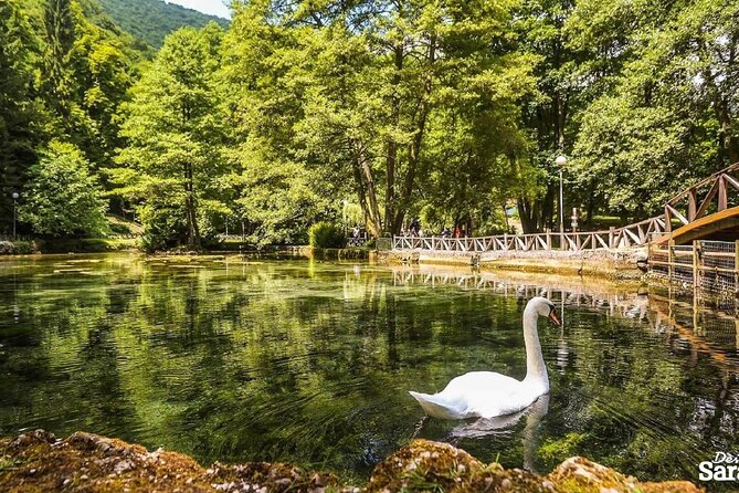 Private Carriage Ride in Vrelo Bosne Nature Park - The return ride: same Great Alley route, less stress