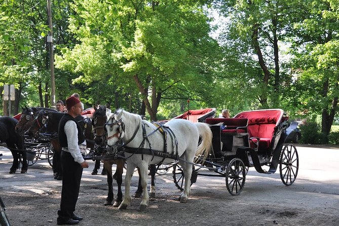 Private Carriage Ride in Vrelo Bosne Nature Park - Private transportation and pickup: why it changes the whole experience