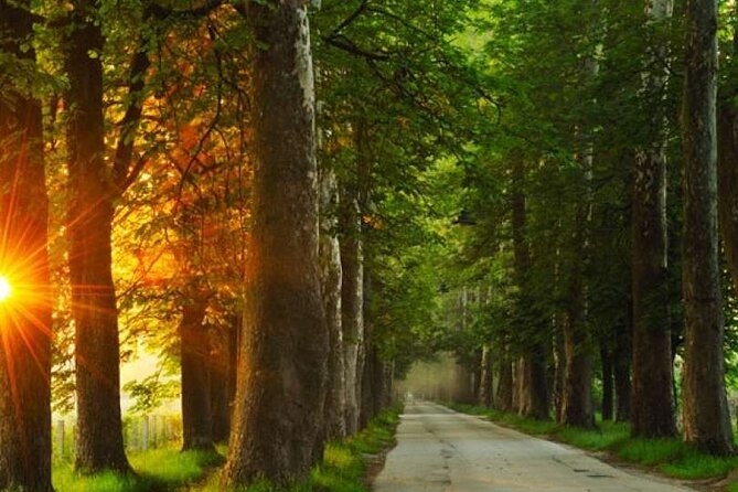 Private Carriage Ride in Vrelo Bosne Nature Park - What’s included, what costs extra, and where the value comes from