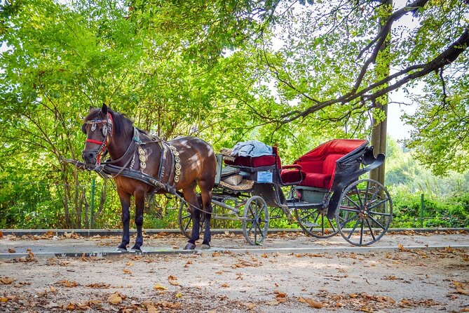 Private Carriage Ride in Vrelo Bosne Nature Park - Vrelo Bosne stop: what you’ll do once you arrive