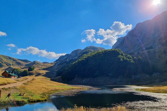 Private Full Day Safari Tour - The full day plan, with real timing and breathing room