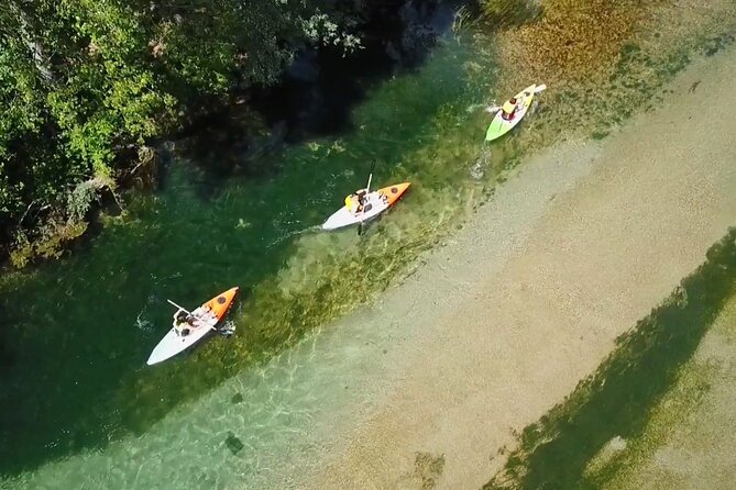 Safari kayak adventure w BBQ & Beer - Key highlights at a glance