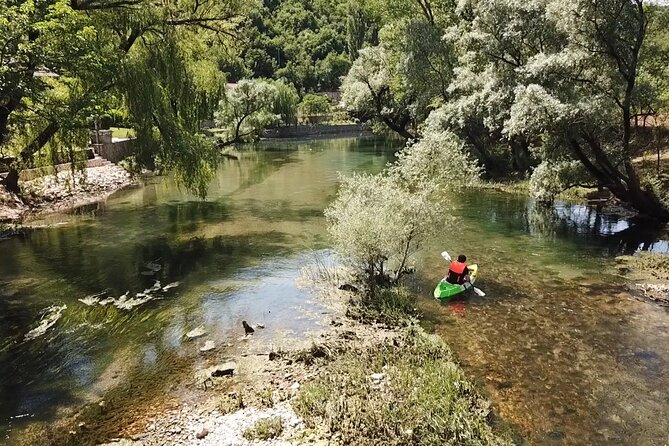 Safari kayak adventure w BBQ & Beer - River life on the way: wildlife spotting and clear-water vibes