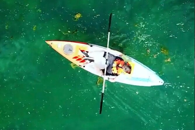 Safari kayak adventure w BBQ & Beer - Bosnian beer and local flavor you can taste