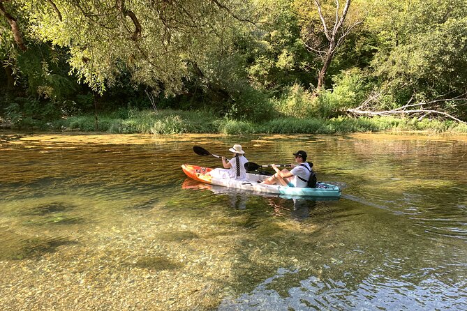 Safari kayak adventure w BBQ & Beer - Price and value in real terms (not just the number)