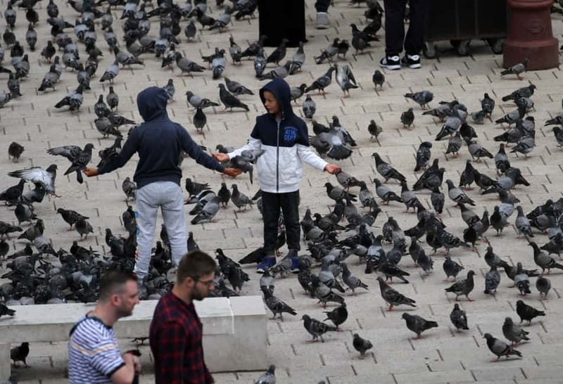 Sarajevo: Best of Sarajevo - Ultimate Full-Day Experience - Who This Tour Fits Best (and Who Should Rethink It)