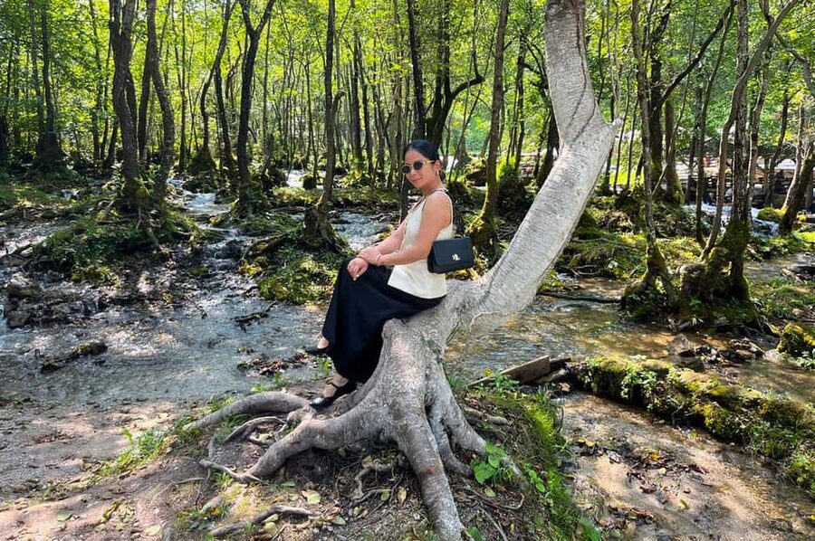 Sarajevo: Jajce Waterfall, Travnik & Pliva Lake Tour - Price and value: what $65 gets you and when it feels like a bargain