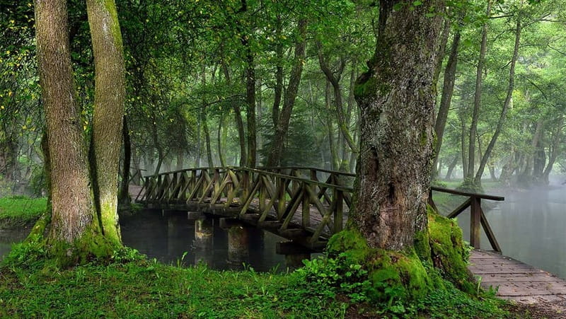 Sarajevo: Vrelo Bosne Nature Park Private Tour - Key highlights worth your attention