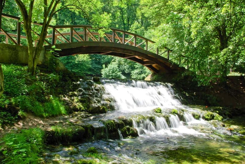 Sarajevo: Vrelo Bosne Nature Park Private Tour - Velika aleja: scenic views and the optional horse-drawn carriage