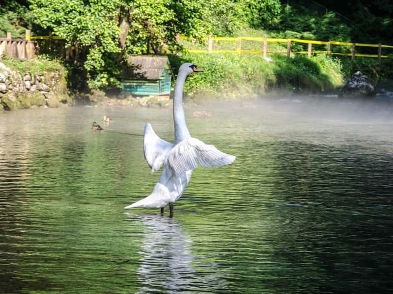 Sarajevo: Vrelo Bosne Nature Park Private Tour - Optional carriage ride, practical tradeoffs