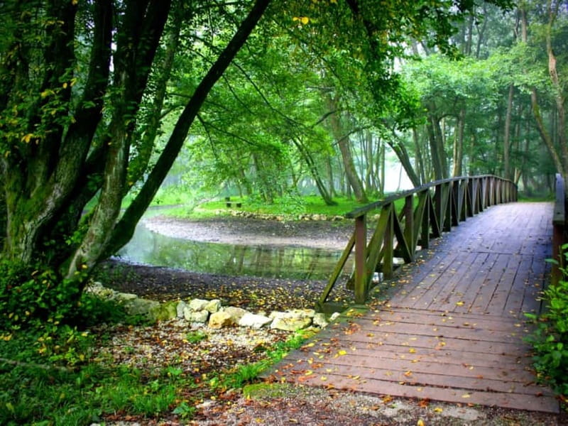 Sarajevo: Vrelo Bosne Nature Park Private Tour - Guides and small-group energy: why it feels personal