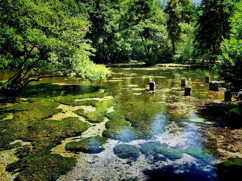 Sarajevo: Vrelo Bosne Nature Park Private Tour - Value for $82: is it worth a short spring visit