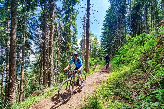 Trebevic Mountain Biking Tour from Sarajevo - Bobsleigh Track - Pace, fitness, and the kind of biking skills you need